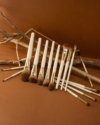 Complete Pro Brush Collection